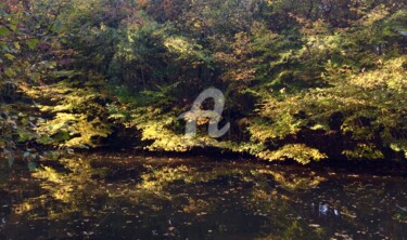 Photographie intitulée "Couleur d automne 3" par Nelly Coudoux, Œuvre d'art originale