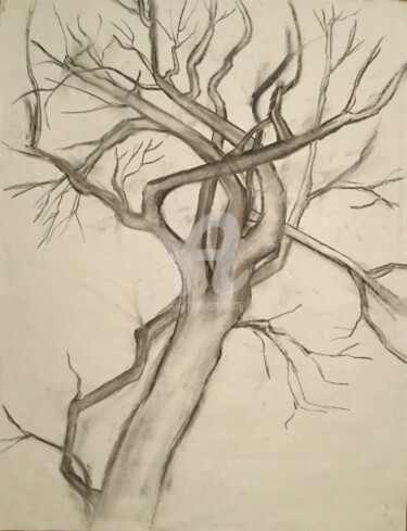 Drawing titled "Hiver" by Nelly Coudoux, Original Artwork, Charcoal