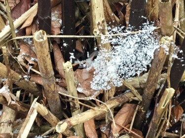 Photographie intitulée "Neige" par Nelly Coudoux, Œuvre d'art originale