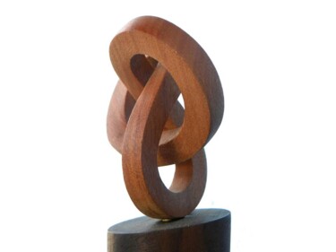 Sculpture intitulée "O Nó Boreal" par Nelson Moratto, Œuvre d'art originale, Bois