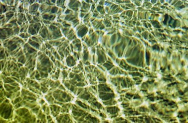 Photography titled "Pool Water" by Nemi Miller, Original Artwork