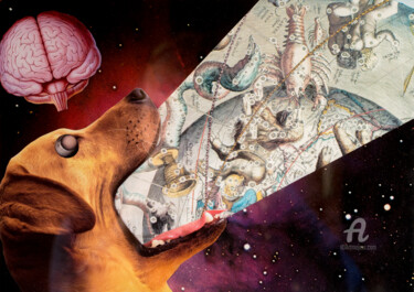 Collages intitolato "The dog knows" da Dysfunctional Brain Works, Opera d'arte originale, Carta
