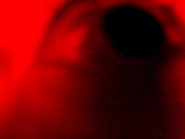 Photographie intitulée "Panic Eye" par Neonitrus, Œuvre d'art originale