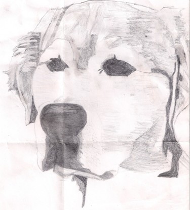 Dessin intitulée "labrador" par Neptune, Œuvre d'art originale, Crayon