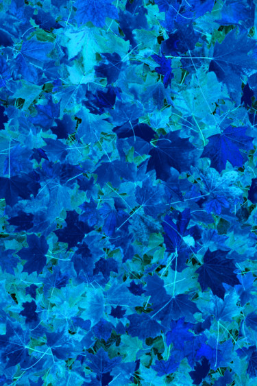 Arts numériques intitulée "automne froid" par Neuronedesign, Œuvre d'art originale, Peinture numérique