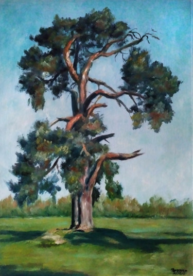 Peinture intitulée "Pine tree" par Iwonna Salak, Œuvre d'art originale, Huile