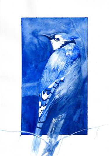 Pittura intitolato "Geai Bleu" da Neyda Omar (Neyptune), Opera d'arte originale, Acquarello