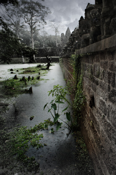 Fotografia zatytułowany „Angkor-wet” autorstwa Nico Cofu Arach, Oryginalna praca