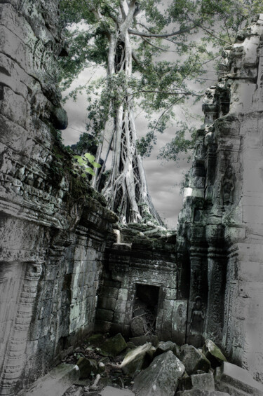Photography titled "The Angkor white tr…" by Nico Cofu Arach, Original Artwork, Manipulated Photography