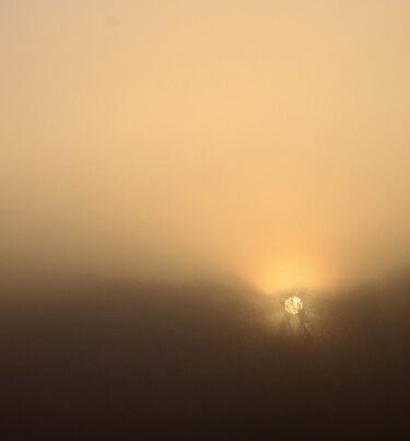 Photography titled "Misty dawn" by Nico Cofu Arach, Original Artwork