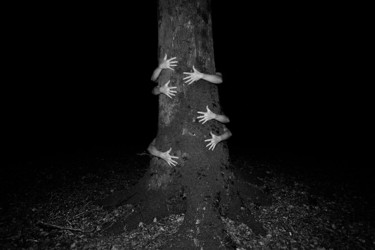Fotografia zatytułowany „Magic tree” autorstwa Nicolas Dalaudier, Oryginalna praca, Fotografia cyfrowa