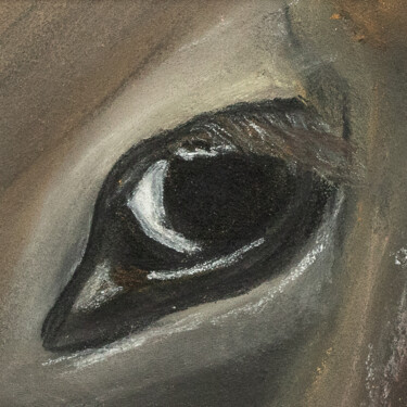 Peinture intitulée "Etude de l'oeil d'u…" par Nicolas Barbier, Œuvre d'art originale, Pastel