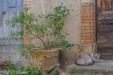 La sieste sur le devant de porte Photography titled "La sieste sur le de…" by Nicolas Bernié, Original Art, Digital Photography