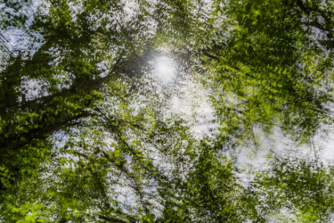 Fotografia intitolato "Divine nature" da Nicolas Bernié, Opera d'arte originale, Fotografia non manipolata