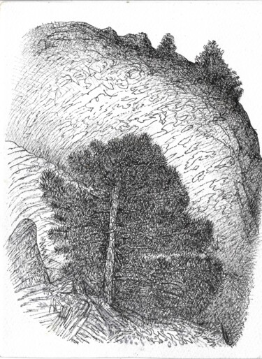 Dessin intitulée "Pin sylvestre dans…" par Nicolas Boldych, Œuvre d'art originale, Marqueur