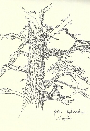 Dessin intitulée "Tronc de pin sylves…" par Nicolas Boldych, Œuvre d'art originale, Marqueur