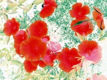 Digital Arts titled "Fleurs rouges" by Nicolas Compagnon, Original Artwork