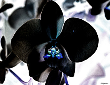 Photographie intitulée "Cœur d'une fleur #6" par Nicolas Daubresse, Œuvre d'art originale, Photographie manipulée