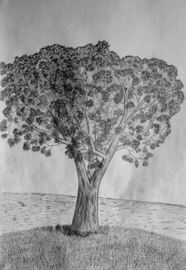 Drawing titled "Arbre devant la mer" by Nicolas Daubresse, Original Artwork, Marker