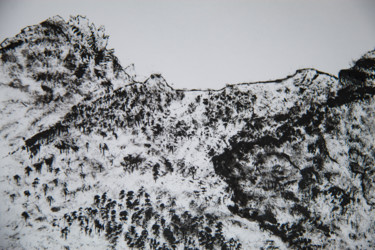 Peinture intitulée "Bnw landscape no 5" par Nicolas Daubresse, Œuvre d'art originale, Acrylique
