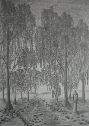 Рисунок под названием "Il sentiero dei sal…" - Nicolas David Correa, Подлинное произведение искусства, Древесный уголь