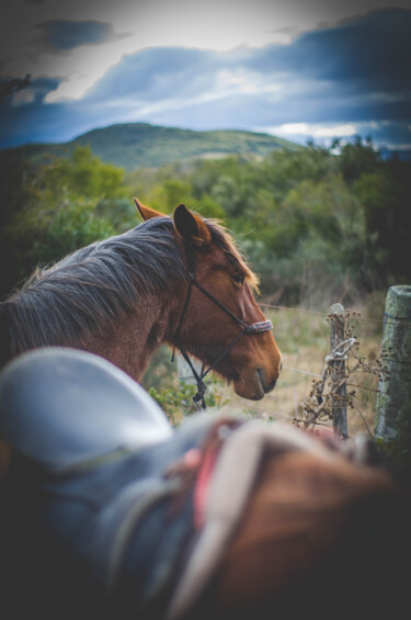 Photography titled "Horse" by Nicolas Giannatasio, Original Artwork, Digital Photography