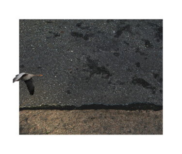 Photography titled "asphalt landscape 5…" by Nicolas Lespagnol, Original Artwork, Non Manipulated Photography Mounted on Alu…