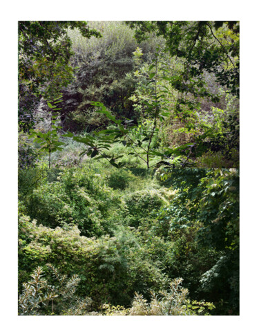 Fotografia zatytułowany „Welded landscapes (…” autorstwa Nicolas Lespagnol, Oryginalna praca, Fotografia nie manipulowana Za…