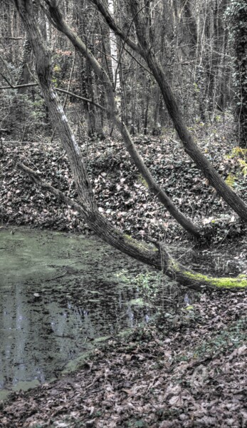 Photographie intitulée "Marsh" par Nicolas Pirson, Œuvre d'art originale, Photographie numérique