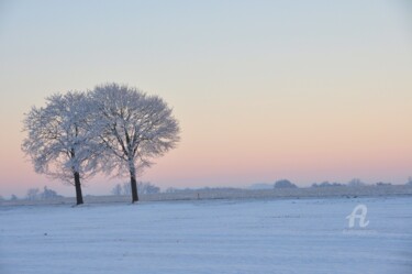 Photographie intitulée "Winter tree" par Nicolas Pirson, Œuvre d'art originale