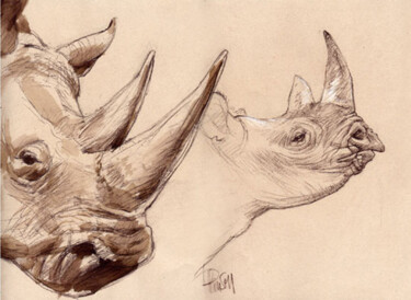 Peinture intitulée "Rhino Way" par Nicolas Planson, Œuvre d'art originale, Aquarelle
