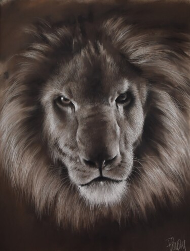 Pittura intitolato "Lion threat" da Nicolas Planson, Opera d'arte originale, Pastello Montato su Cartone