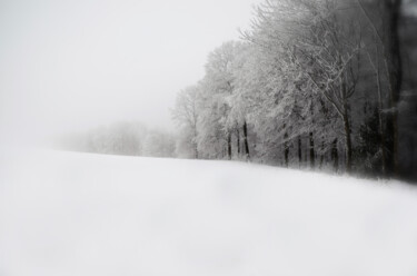 Fotografie getiteld "Winter IV" door Nicolas Sorel, Origineel Kunstwerk, Niet gemanipuleerde fotografie