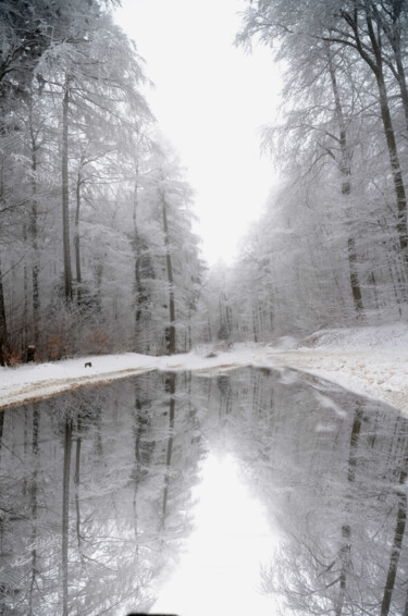 Photography titled "Winter V" by Nicolas Sorel, Original Artwork, Non Manipulated Photography