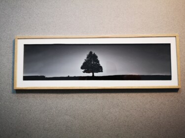 Photographie intitulée "Paysage 7" par Nicolas Nicolas Sorel, Œuvre d'art originale, Photographie non manipulée