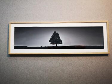 Photography titled "Paysage 7" by Nicolas Sorel, Original Artwork, Non Manipulated Photography