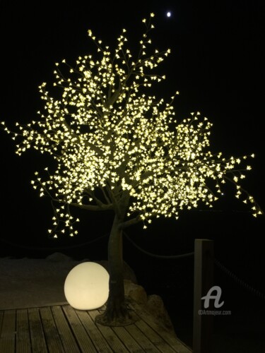 Фотография под названием "Arbre de lune" - Nicolas Volle, Подлинное произведение искусства, Цифровая фотография