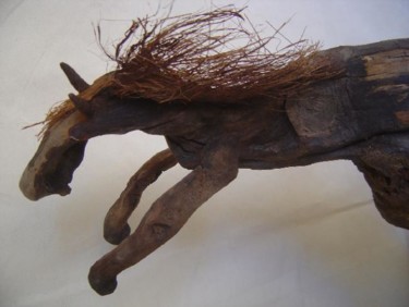 Sculpture intitulée "cheval sauvage" par Nicole Agoutin, Œuvre d'art originale