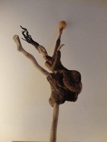 Sculpture intitulée "dsc05247r.jpg" par Nicole Agoutin, Œuvre d'art originale