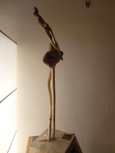 Sculpture intitulée "dsc06370r.jpg" par Nicole Agoutin, Œuvre d'art originale