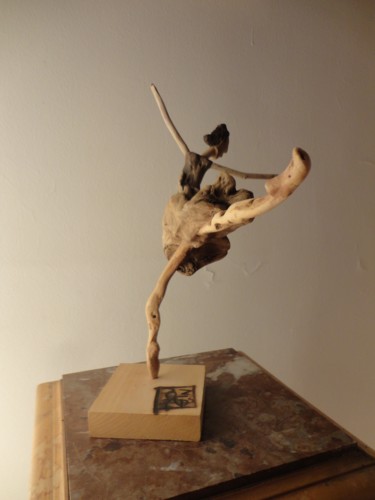 Sculpture intitulée "dsc07823r.jpg" par Nicole Agoutin, Œuvre d'art originale
