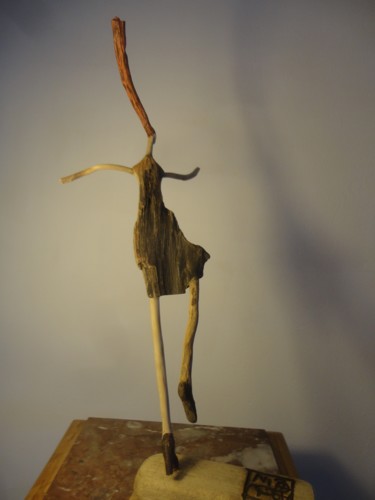 Sculpture intitulée "dsc04976r.jpg" par Nicole Agoutin, Œuvre d'art originale
