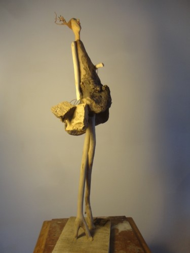 Sculpture intitulée "phptjkm4k.jpg" par Nicole Agoutin, Œuvre d'art originale
