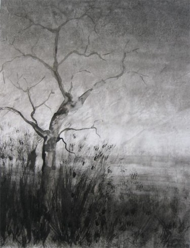 Dessin intitulée "L'arbre nu" par Nicole Boëdec, Œuvre d'art originale