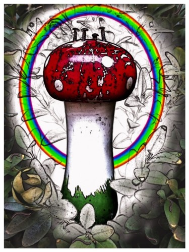 Digital Arts titled "Mushroom" by Nicole Rochedix, Original Artwork, Digital Painting