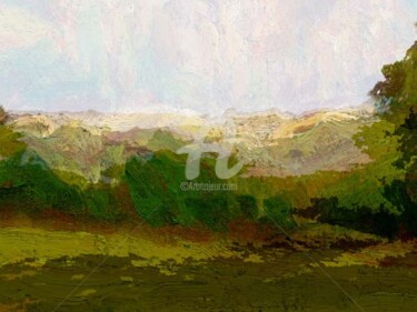 Estampas & grabados titulada "Quick landscape" por Nicu Ilie, Obra de arte original, Otro
