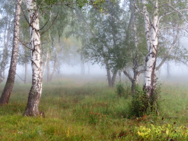 Фотография под названием "Утро туманное" - Николай Матюшенков, Подлинное произведение искусства