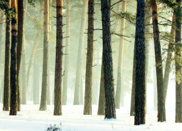 "Зимний лес" başlıklı Fotoğraf Николай Матюшенков tarafından, Orijinal sanat