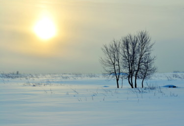 Photography titled "Холод пространства" by Nikolai Matiushenkov, Original Artwork