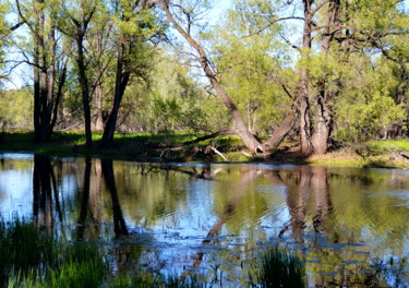Фотография под названием "Весной в пойме реки…" - Николай Матюшенков, Подлинное произведение искусства